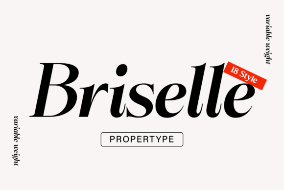 Elevate Web Design with the Briselle Typeface